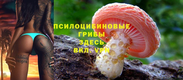 ешки Алексеевка